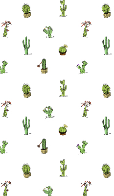 Cactus pour intérieur et fenêtre