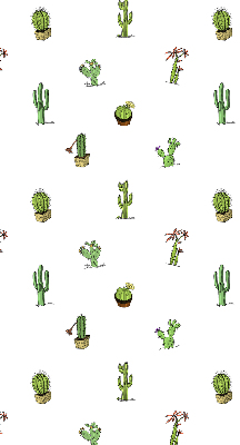 Cactus pour intérieur et fenêtre