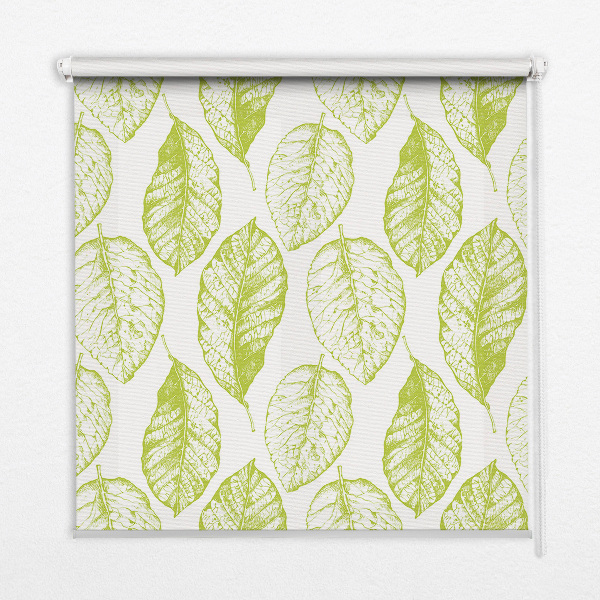 Fenêtre intérieure feuilles de citron vert