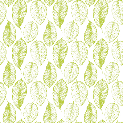 Fenêtre intérieure feuilles de citron vert