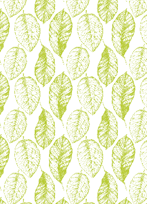 Fenêtre intérieure feuilles de citron vert