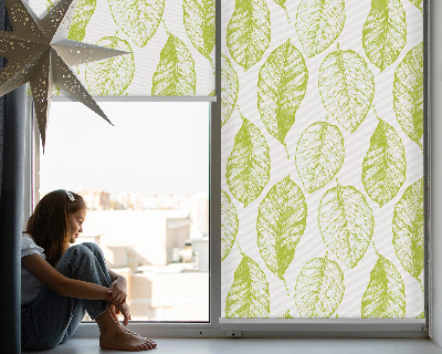 Fenêtre intérieure feuilles de citron vert