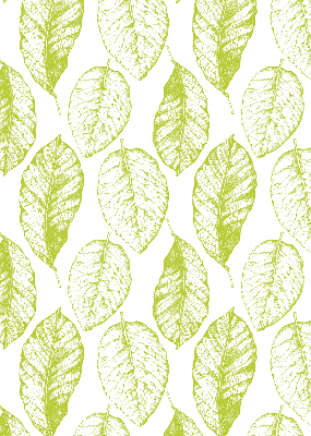 Fenêtre intérieure feuilles de citron vert