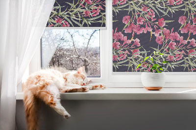 Fleur exotique en intérieur