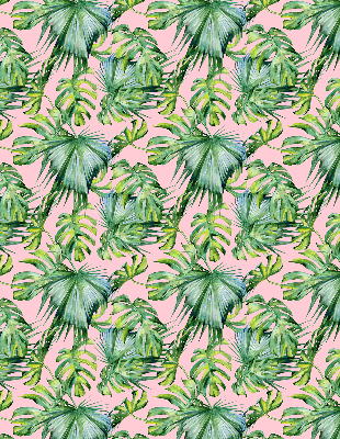 Store intérieur fenêtre variétés de feuilles tropicales