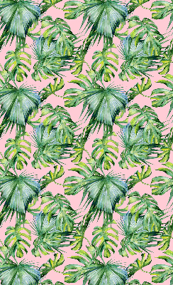 Store intérieur fenêtre variétés de feuilles tropicales