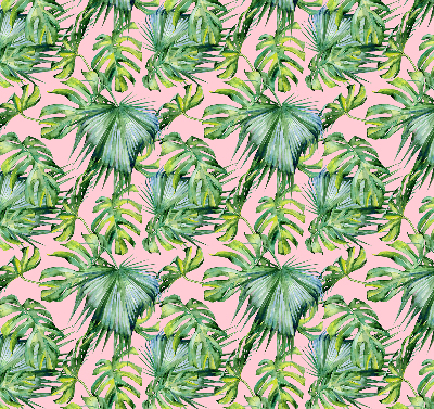 Store intérieur fenêtre variétés de feuilles tropicales