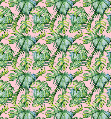 Store intérieur fenêtre variétés de feuilles tropicales