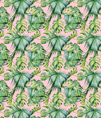 Store intérieur fenêtre variétés de feuilles tropicales