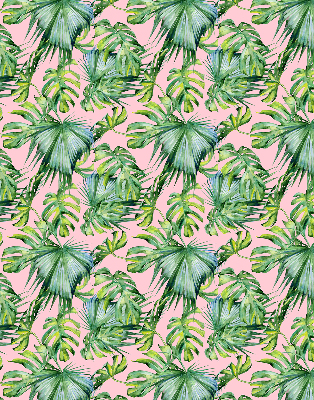 Store intérieur fenêtre variétés de feuilles tropicales