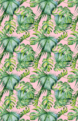 Store intérieur fenêtre variétés de feuilles tropicales
