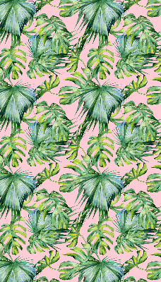 Store intérieur fenêtre variétés de feuilles tropicales