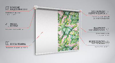 Store intérieur fenêtre variétés de feuilles tropicales