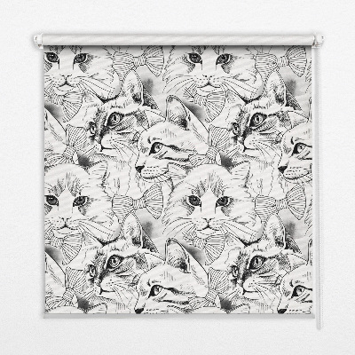 Stores pour fenêtre d'intérieur avec motif de chats dessinés