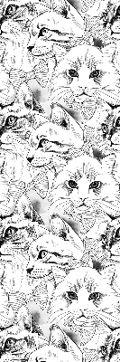 Stores pour fenêtre d'intérieur avec motif de chats dessinés