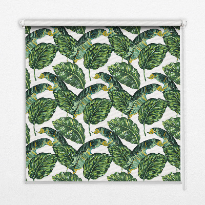 Store intérieur avec feuilles exotiques