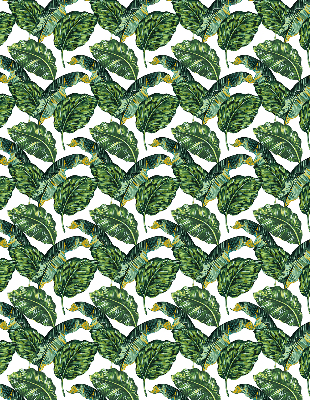 Store intérieur avec feuilles exotiques