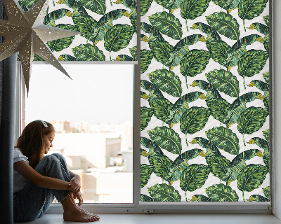 Store intérieur avec feuilles exotiques