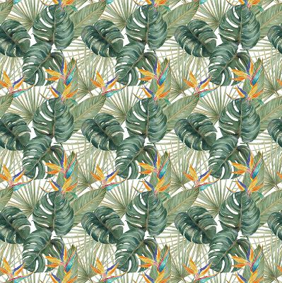 Plantes tropicales pour intérieur