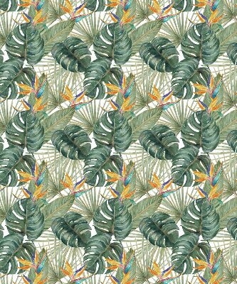 Plantes tropicales pour intérieur