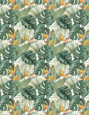 Plantes tropicales pour intérieur