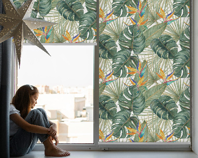 Plantes tropicales pour intérieur