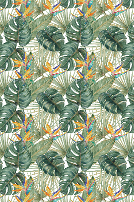 Plantes tropicales pour intérieur