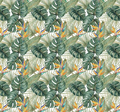 Plantes tropicales pour intérieur