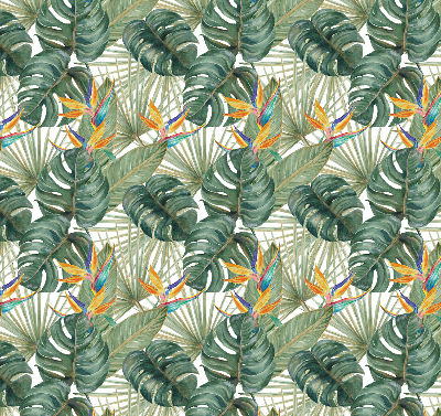 Plantes tropicales pour intérieur