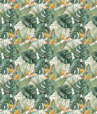 Plantes tropicales pour intérieur