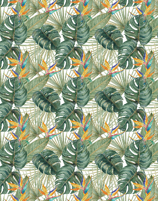 Plantes tropicales pour intérieur