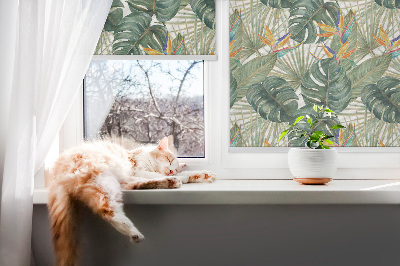 Plantes tropicales pour intérieur