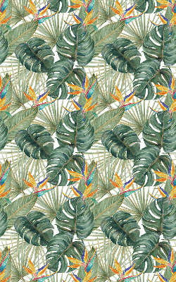 Plantes tropicales pour intérieur