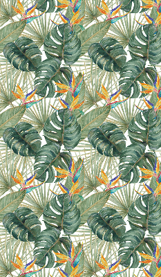 Plantes tropicales pour intérieur
