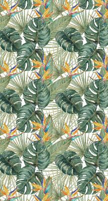 Plantes tropicales pour intérieur