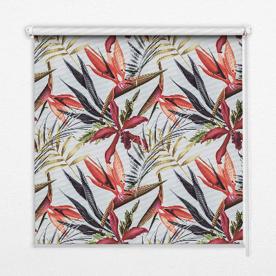 Store intérieur fenêtre avec feuilles exotiques