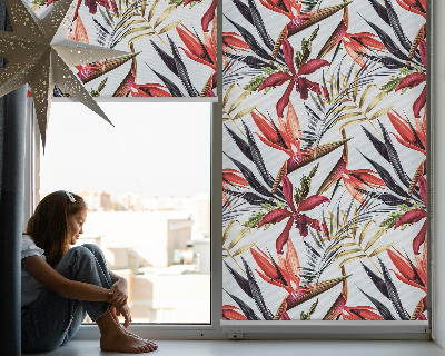 Store intérieur fenêtre avec feuilles exotiques