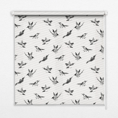 Store intérieur oiseaux