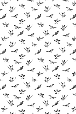 Store intérieur oiseaux