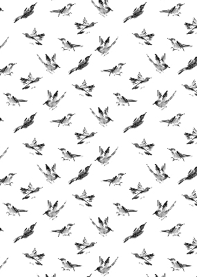 Store intérieur oiseaux