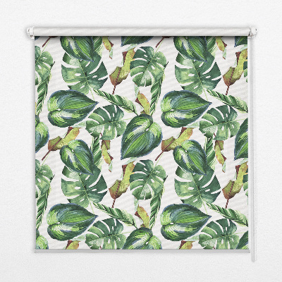 Store enrouleur plantes tropicales