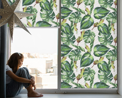 Store enrouleur plantes tropicales