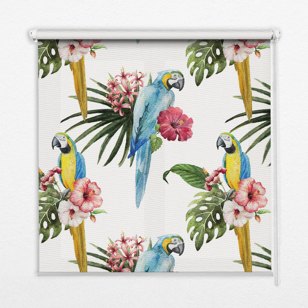Store intérieur fenêtre perroquet sur des fleurs
