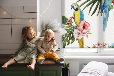 Store intérieur fenêtre perroquet sur des fleurs