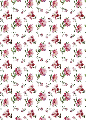 Store intérieur fenêtre en fleur rose