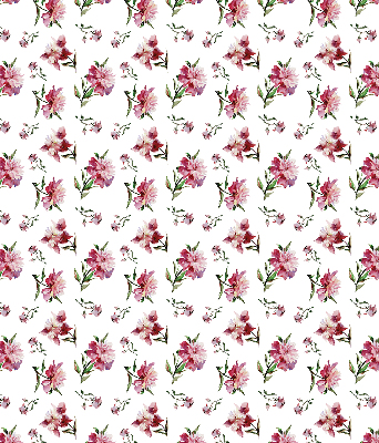 Store intérieur fenêtre en fleur rose