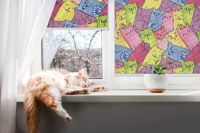 Store intérieur avec chats colorés