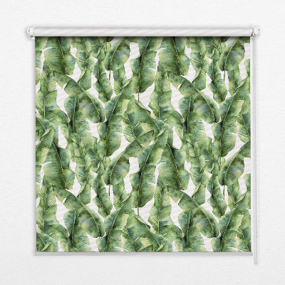 Feuilles pour store intérieur de fenêtre