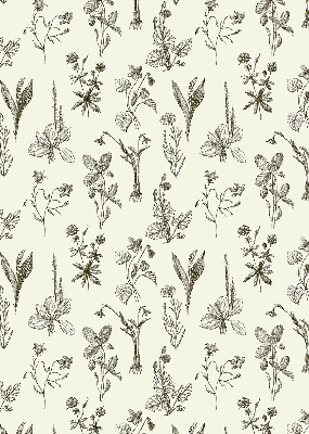 Store intérieur avec motifs de fleurs dessinées