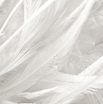 Store intérieur en plumes